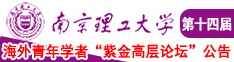 男人鸡入女人屁进去南京理工大学第十四届海外青年学者紫金论坛诚邀海内外英才！